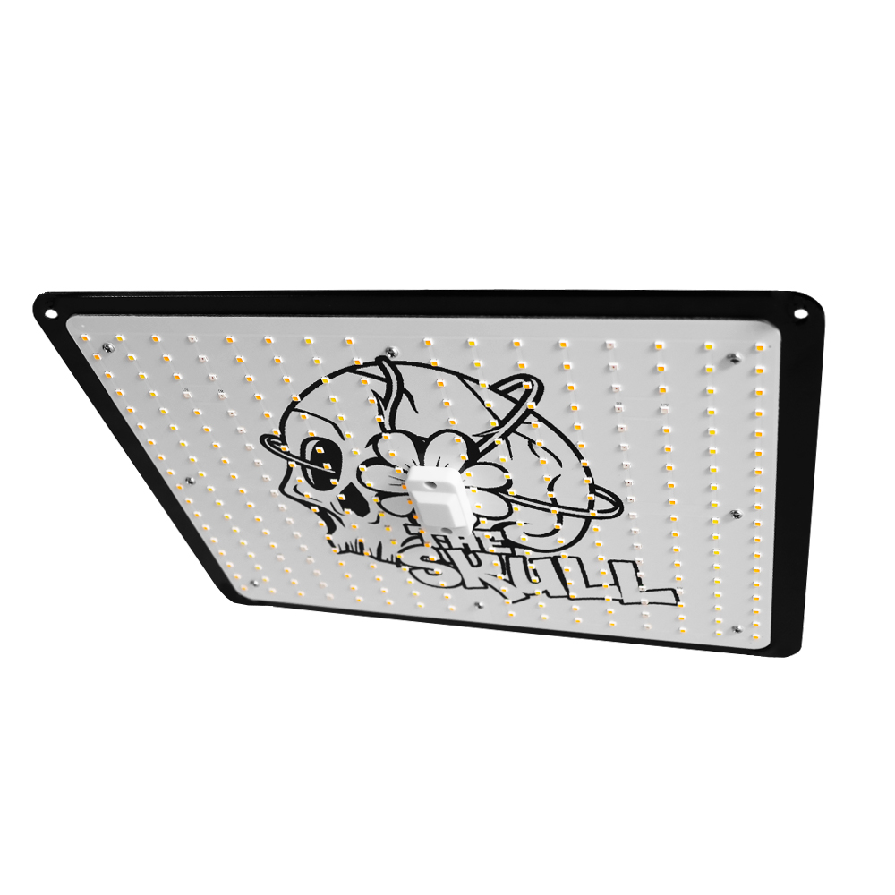 Light The Skull 120W